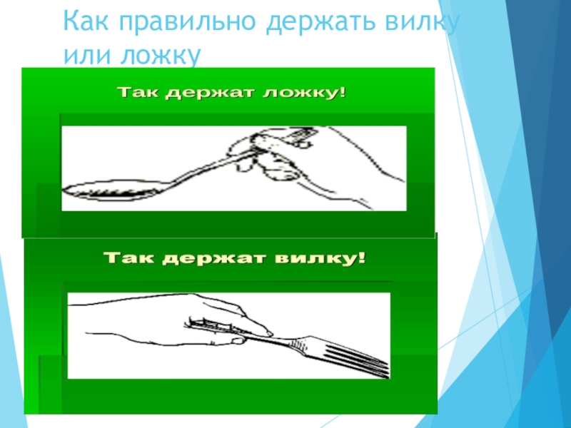 Как правильно держать. Как правильно держать вилку. Какиправильно держать вилку. Как правильно держать ложку и вилку. Как правильно держать ложку.