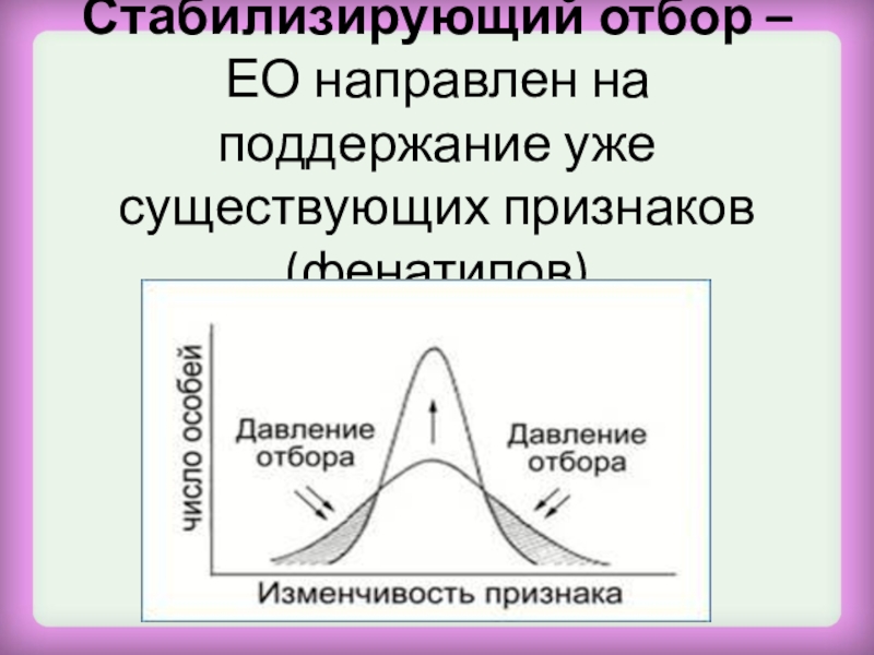 Стабилизирующий отбор схема