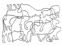 Презентация для 1 доп. класса, обучающихся с умственной отсталостью Домашние животные