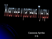 Презентация к уроку Окружающего мира по теме Тундра