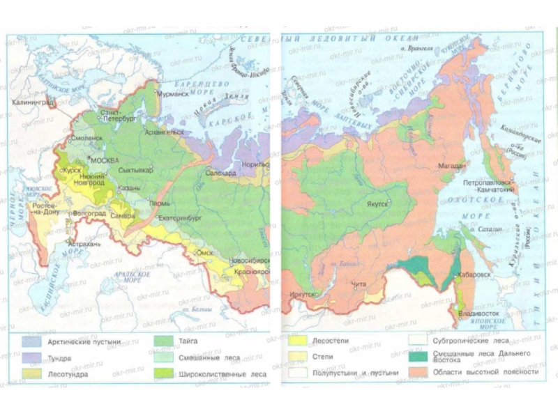Карта природных зон россии 4 класс впр
