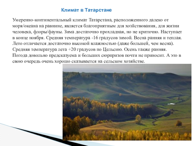 Природные зоны республики татарстан презентация