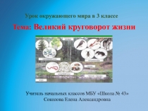 Презентация к уроку окружающего мира по теме: Круговорот веществ в природе. для 3 класса.