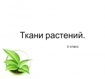 Презентация Ткани растений 6 класс