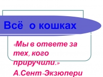 Презентация к проекту Все о кошках