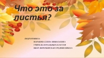 Презентация по окружающему миру Что это за листья?