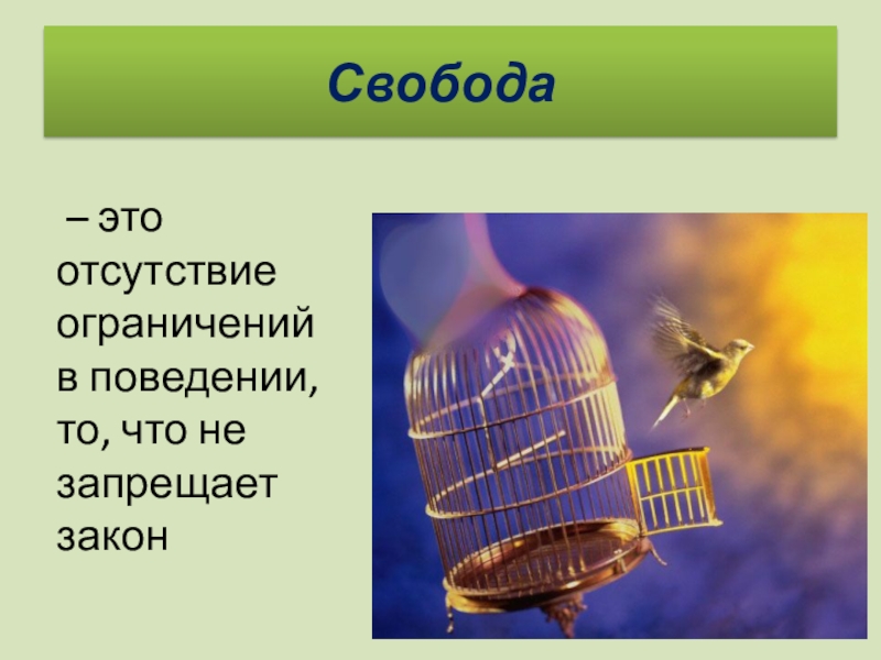 Свобода отсутствие ограничений. Свобода это отсутствие зависимостей. Свобода общество 10 класс. Свобода это отсутствие зависимостей Автор. Четыре свободы.