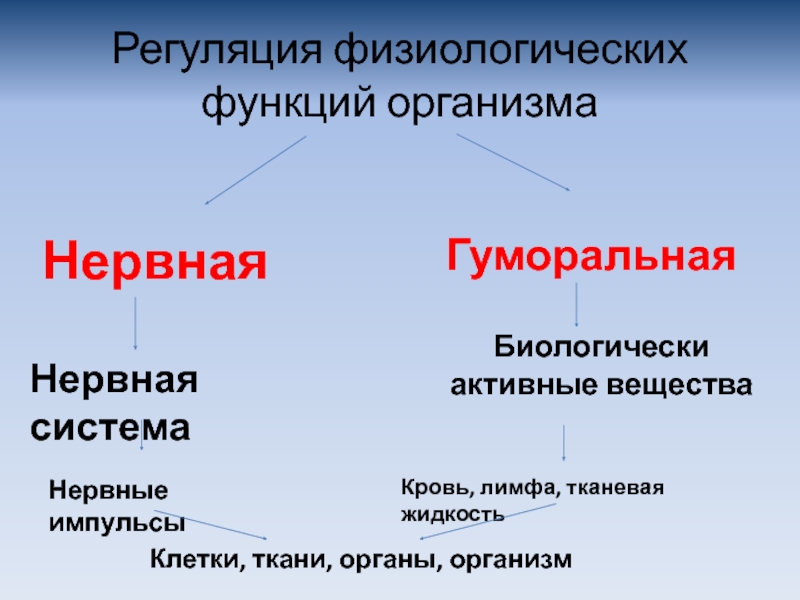 Презентация нейрогуморальная регуляция 6 класс пасечник линия жизни