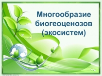 Презентация по биологии на тему Разнообразие и ценность водных экосистем (9 класс)