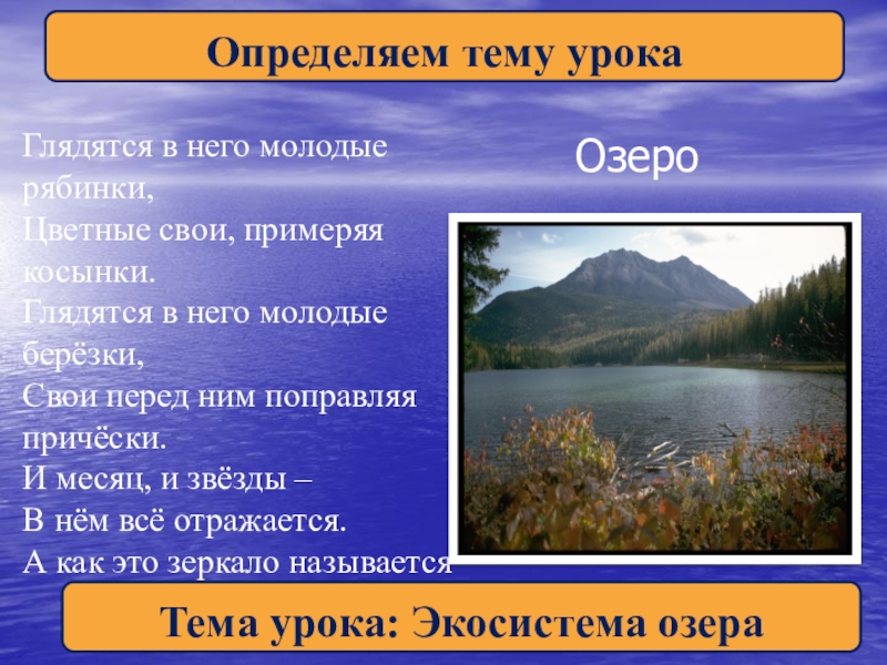 Презентация на тему экосистема озера. Производители в экосистеме озера это. Экосистема озера 3 класс. Описание экосистемы озера.