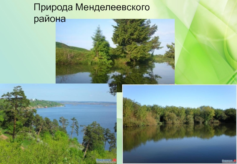 Природа Менделеевского района