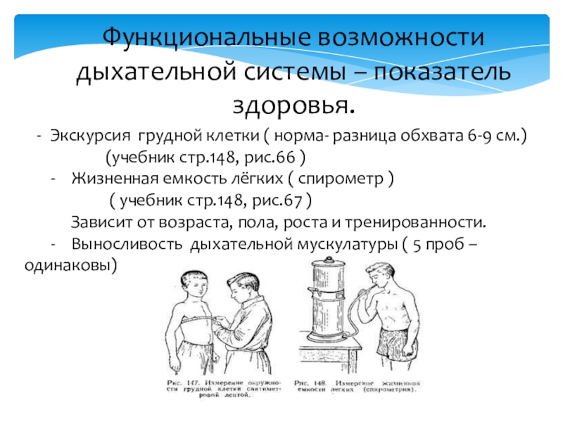 Функциональные возможности дыхательных систем