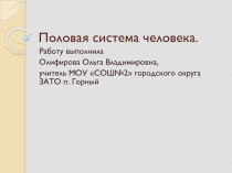 Презентация по биологии на тему Половая система человека