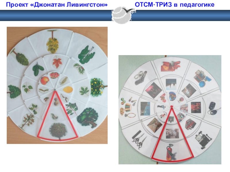 Топ елки триз. ОТСМ ТРИЗ. Круги Луллия сутки. Круги Луллия по ЗОЖ. Круги Луллия космос.