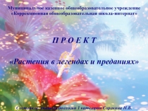 Презентация по биологии Растения в легендах и преданиях