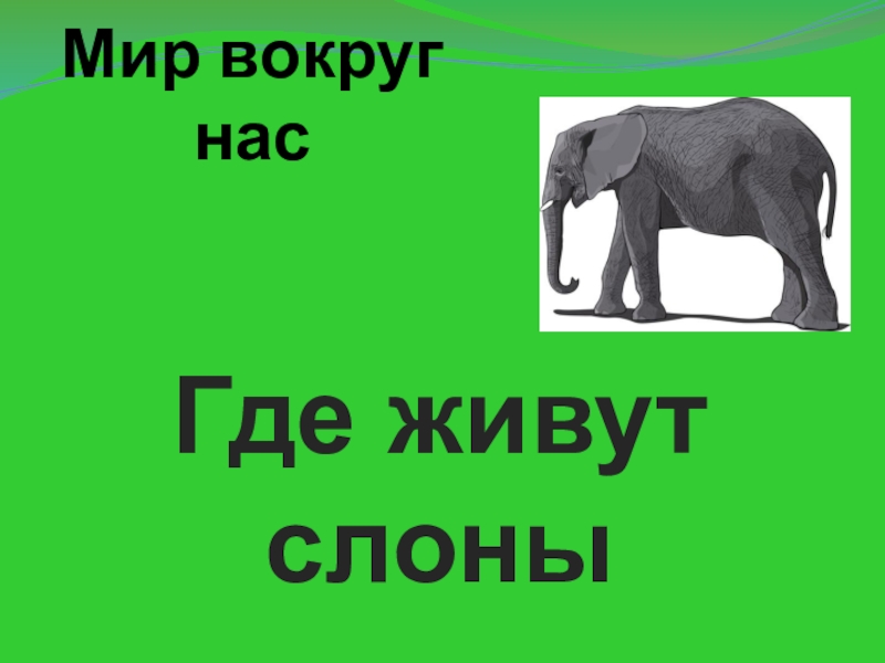 Презентация 1 класс где живут слоны окружающий мир