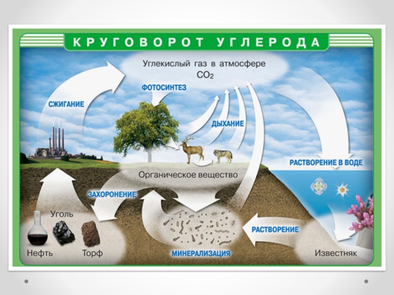 Химия и окружающая среда презентация 11 класс