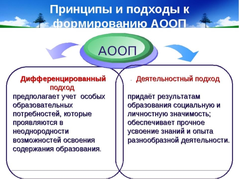 Фаооп. Деятельностный и дифференцированный подходы. Принципы и подходы к формированию АООП. АООП И ООП. Программы АООП.