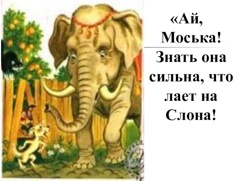 Слон и моська картинки приколы