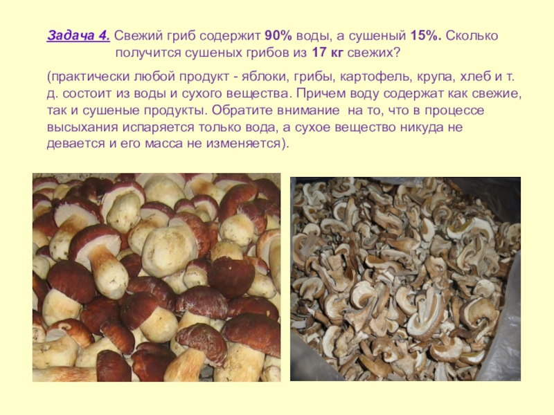 Сколько держат грибы. Килограмм сушеных грибов. Масса сушеных грибов. Задача про сухие и свежие грибы. Сколько килограммов грибов получается из сушеных грибов.