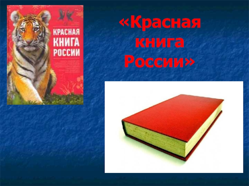 По страницам Красной книги (3-4 класс)