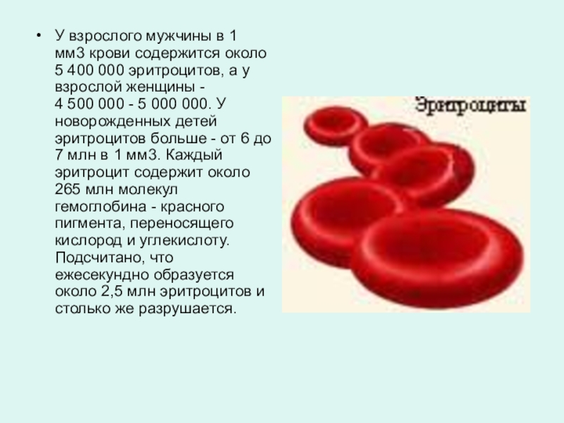 Эритроциты содержат. Эритроциты в 1мм крови содержит. В одном мм3 содержится эритроцитов?. Содержание эритроцитов в 1 мм3 в крови. Эритроциты в 1 мм3 крови.