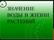 Презентация по биологии Значение воды в жизни растений