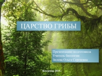 Презентация по биологии на тему  Царство Грибы