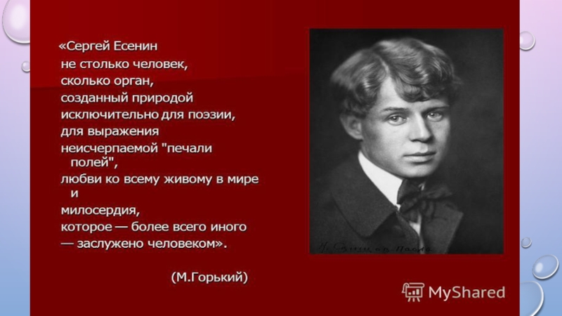 Проект по литературе сергей есенин