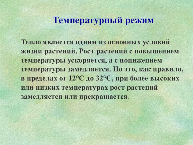 Режим тепла. Роль тепла в жизни растений. Значение тепла в жизни растений. Влияние температуры на растения. Значение тепла для растений.