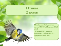 Презентация к уроку по окружающему миру на тему Птицы 2 класс