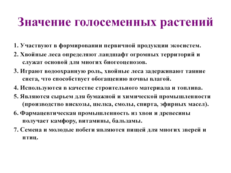 Значение голосеменных в жизни человека. Таблица значение голосеменных растений в природе и жизни человека. Значение голо семейных. Значение голосеменных. Значение голосеменных растений.