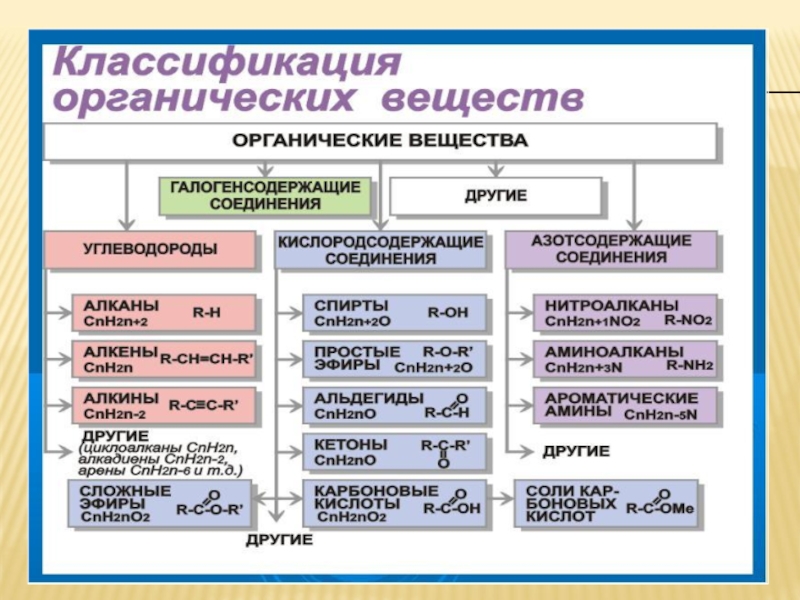 Презентация по органике