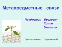 Метапредметные связи в учебной деятельности ОУ СПО