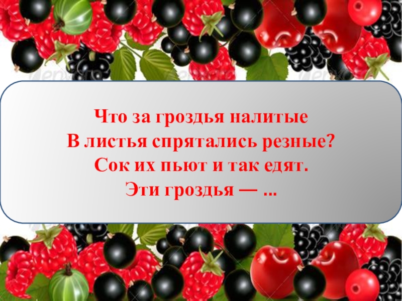 Загадка вечер. Фон для загадок про ягоды. Ягода учитель. Презентация для развития речи ягоды презентация. Викторина для детей 4-5 лет про ягоды.