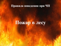 Пожар в лесу