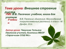Урок по теме Внешнее строение листа