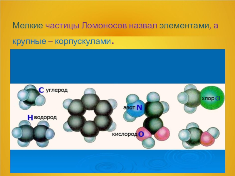 Корпускула частица