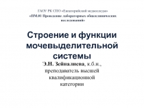 Презентация по ПМ.01 на тему: СТРОЕНИЕ МОЧЕВЫДЕЛИТЕЛЬНОЙ СИСТЕМЫ