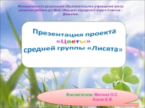 Презентация проектной деятельности в ДОУ