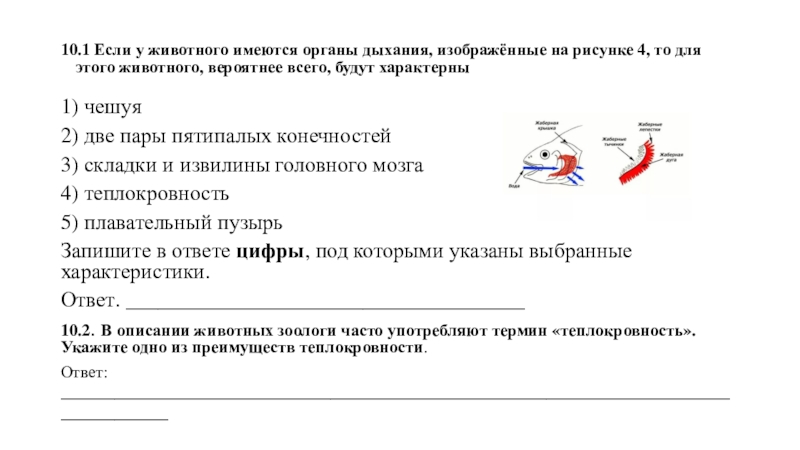 Охарактеризуйте отличительные черты 3 систематических групп класса птицы используя рисунки параграфа