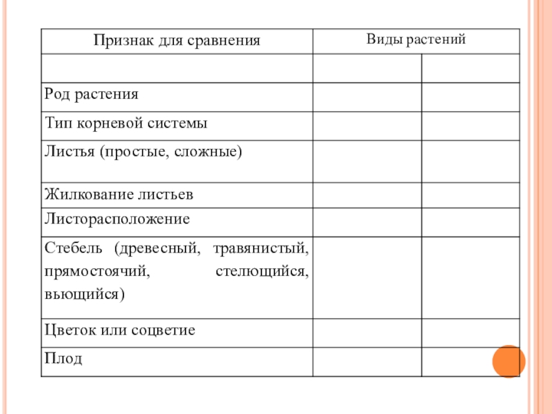 Выявить черты сходства. Морфологические критерии растений. Сравнение двух растений одного вида. Морфологические критерии растений таблица. Таблица признак для сравнения род растения.