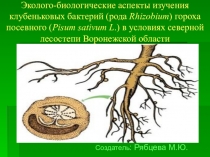 Презентация по биологии и экологии на тему:Внеклассный полевой опыт