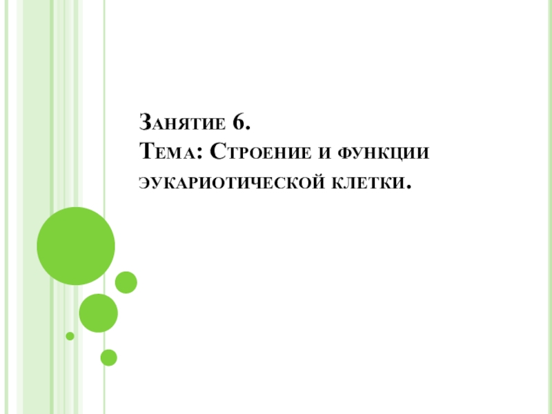 Презентация по биологии на тему Строение эукариотической клетки