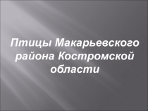 Презентация по теме Птицы нашего края