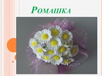 Презентация п технологии на тему Аппликация - ромашка (3класс)