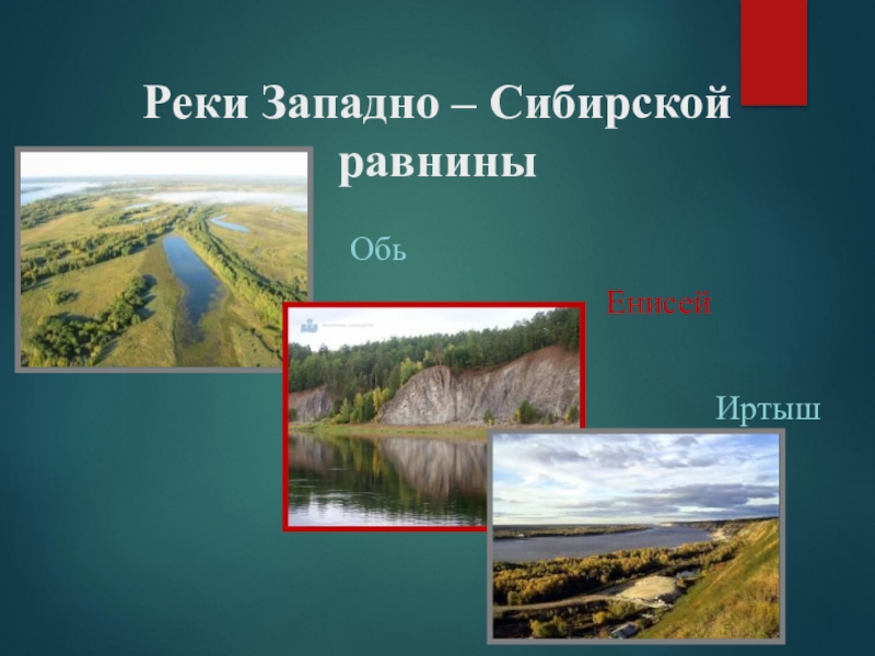 Западно сибирская равнина особенности природы презентация 8 класс