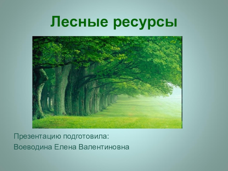 Презентация мир леса. Лесные ресурсы презентация. Лесные ресурсы Калининградской области. Лесные ресурсы мира презентация. Лесные ресурсы мира презентация 10 класс.