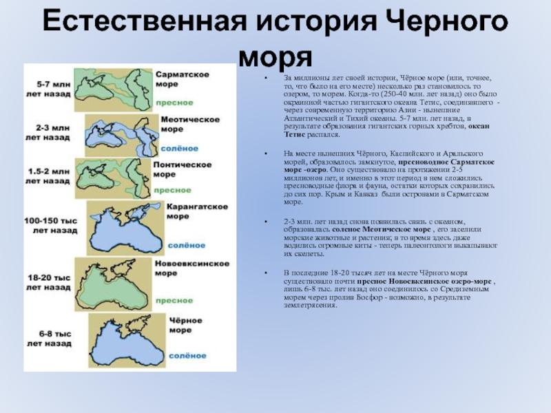 Состав черного моря. Рассказ о черном море. Чёрное море история возникновения. Формирование черного моря. Эволюция черного моря.