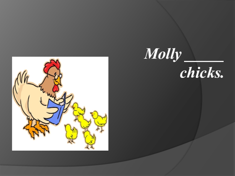 Molly _____ chicks.